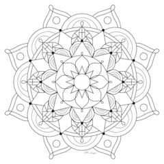 Imagem do Mandala & Cor 1.0