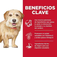 Hill's Science Diet, Alimento para Perro Youthful Vitality 7+ años Small Bites - comprar en línea