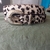 Cinto animal print