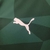 Imagem do Camisa Palmeiras Titular | 23/24 | Versão Torcedor Masculino - Verde