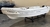 USADO - ELEPHANT 528 (2018) MOTOR EVINRUDE 40HP (2007)