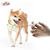 Animal Transponder Pet Reader, Chip Animal, Seringa Veterinária, Injetor RFID, - loja online