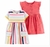 Kit Vestidos Gatinho/Listrado Carter's