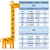 Conjunto Verão Infantil Tubarão Carter´s na internet