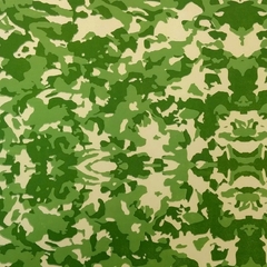 Folha de EVA Militar