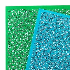 Folha EVA Estampada Floral 2 Cores