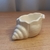 Caracola - comprar online