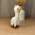 Llamita en internet