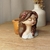 Muñeca N° 7 - tienda online