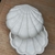 Ostra - comprar online