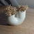 Florero Irregular en internet