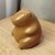 Capibara en internet