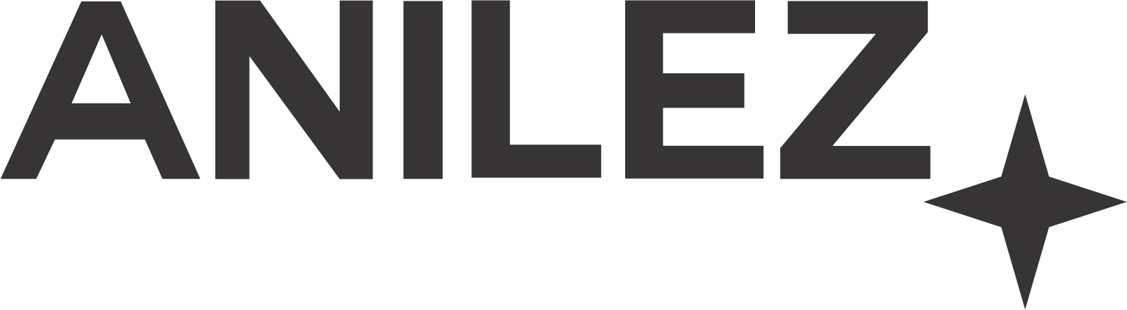 Anilez Acessórios