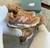 New Balance 9060 na internet