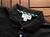 Imagem do Camisa Polo Lacoste