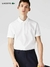 POLO LACOSTE - BENSTORECLUB IMPORTADOS