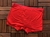CUECA EA7 EMPORIO ARMANI na internet