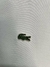 Imagem do POLO LACOSTE