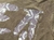T-SHIRT ARMANI EXCHANGE - comprar online