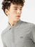POLO LACOSTE - loja online