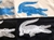 MOLETOM LACOSTE BIG CROC - loja online