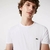CAMISETA LACOSTE - comprar online