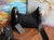 BOLSA PRADA IMPORTADA