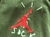 CONJUNTO AIR JORDAN CACTUS JACK na internet
