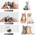 Profissional Pet Clipper Lâmina substitui, animal Clippers, se encaixa mais And - comprar online