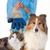 Luva Mágica para Pets & Pelo Perfeito