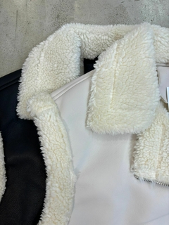 CAMPERA GAMULAN CALIFORNIA en internet