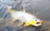 XT-MINNOW 80(xtm06) na internet