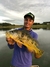 J-Minnow 117 (jmw08) - comprar online