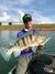 J-Minnow 117 (jmw08) - comprar online