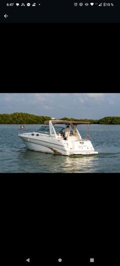 SEA RAY 32 FT