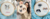 Imagem do banner rotativo 2