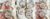 Imagem do banner rotativo 7