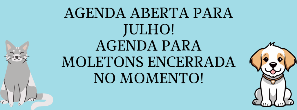 Imagem do banner rotativo 1
