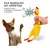 GALINHA FRANGO - comprar online