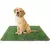 ♻️ Refil Eco-Box P: o banheiro natural dos pets que você ama — sempre limpinho, sempre fresquinho! - comprar online