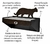 Cama aérea para gatos na internet