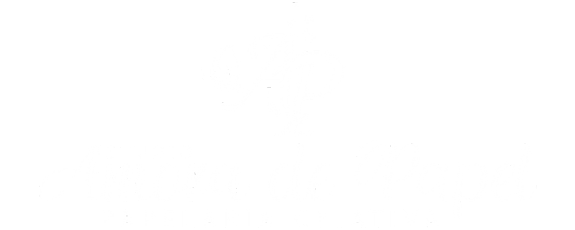 Studio Amora de Papel