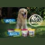PETISCO NATURAL PET - SNACKS NATURE - VITAMINA C - 80g - Essencial