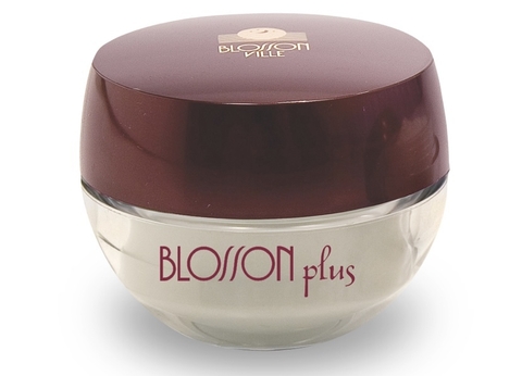 Blosson plus gel creme facial antirrugas (noite)