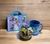 Kit Surprise Infantil - comprar online