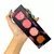 QUARTETO DE BLUSH ULTRAFINO COM SILICONE - comprar online
