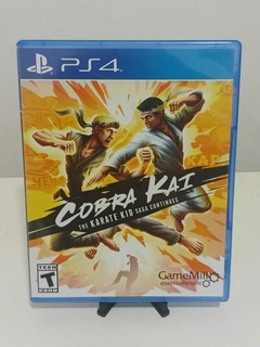 Cobra Kai The Karate Kid Saga Continues DE PS4