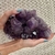 Elestial Amethyst Druze - buy online