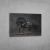 Quadro Decorativo Cavalo Negro na internet