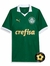 Camisa do Palmeiras 2024/2025 - Puma - Verde
